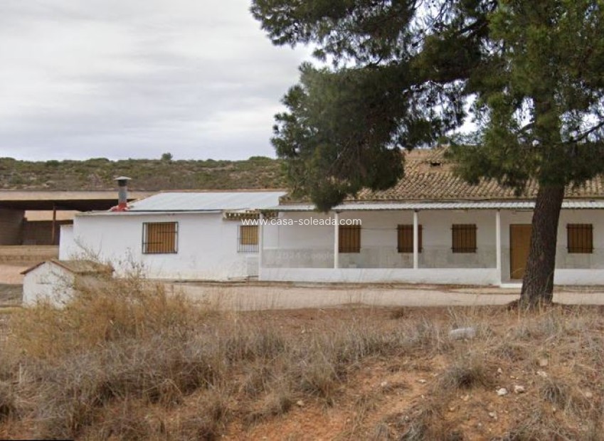 Revente - Country Property/Finca - Yecla - Inland
