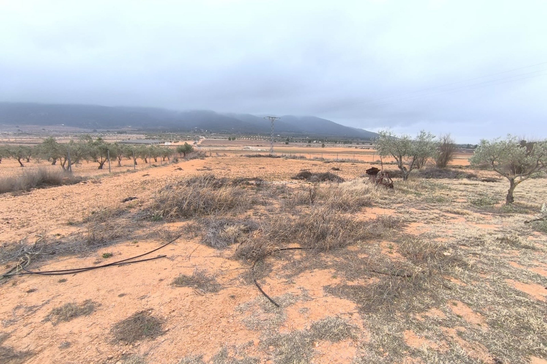 Revente - Country Property/Finca - Yecla - Inland