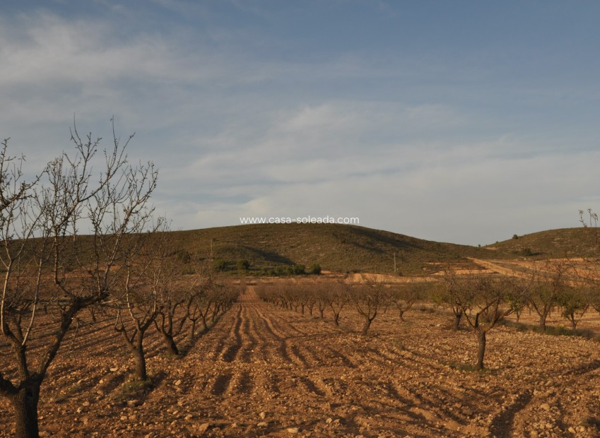 Revente - Land - Abanilla - Inland