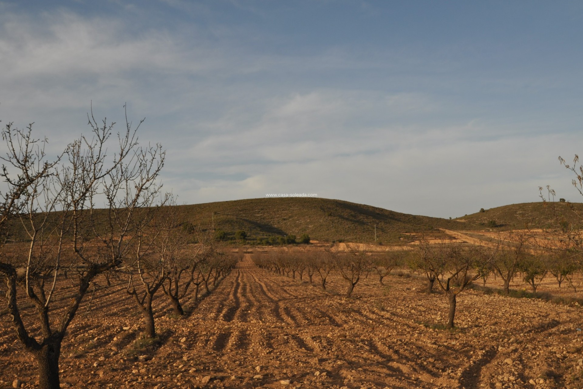 Revente - Land - Abanilla - Inland