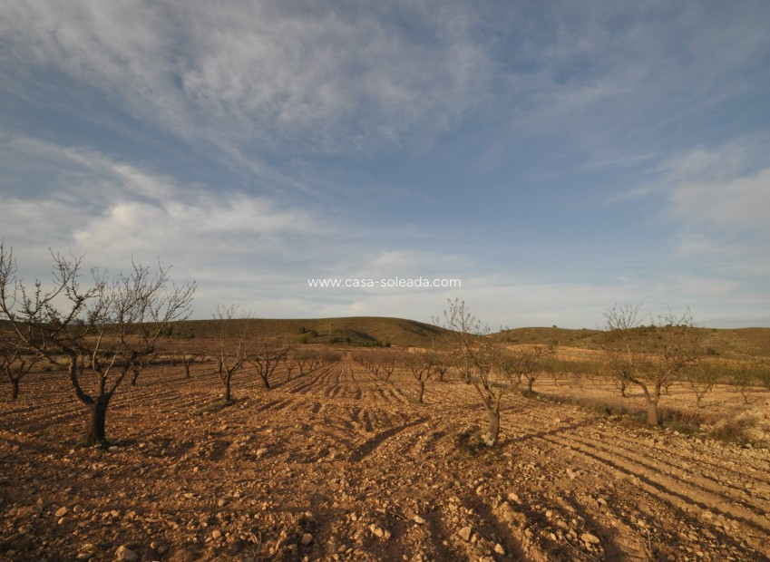 Revente - Land - Abanilla - Inland