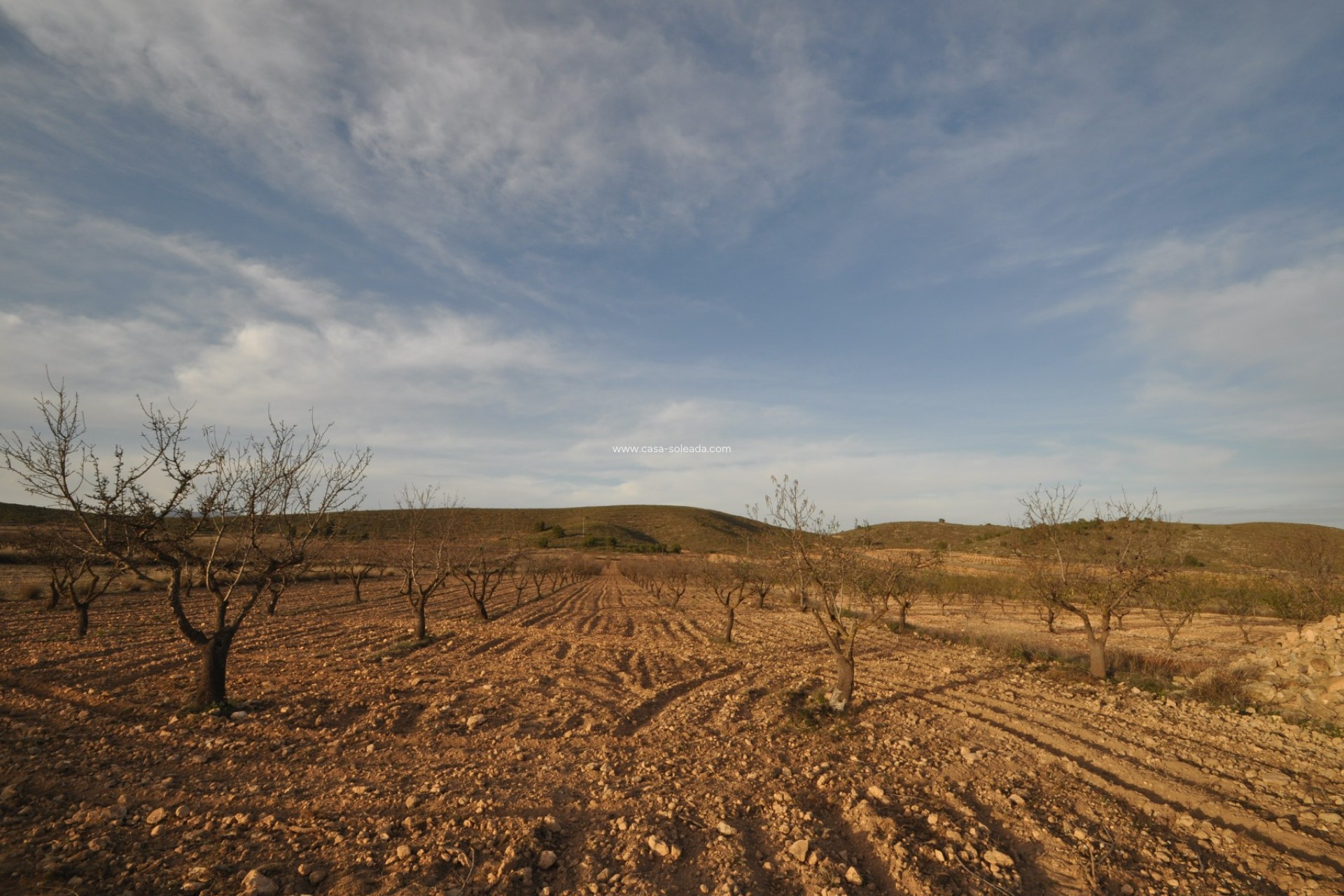 Revente - Land - Abanilla - Inland