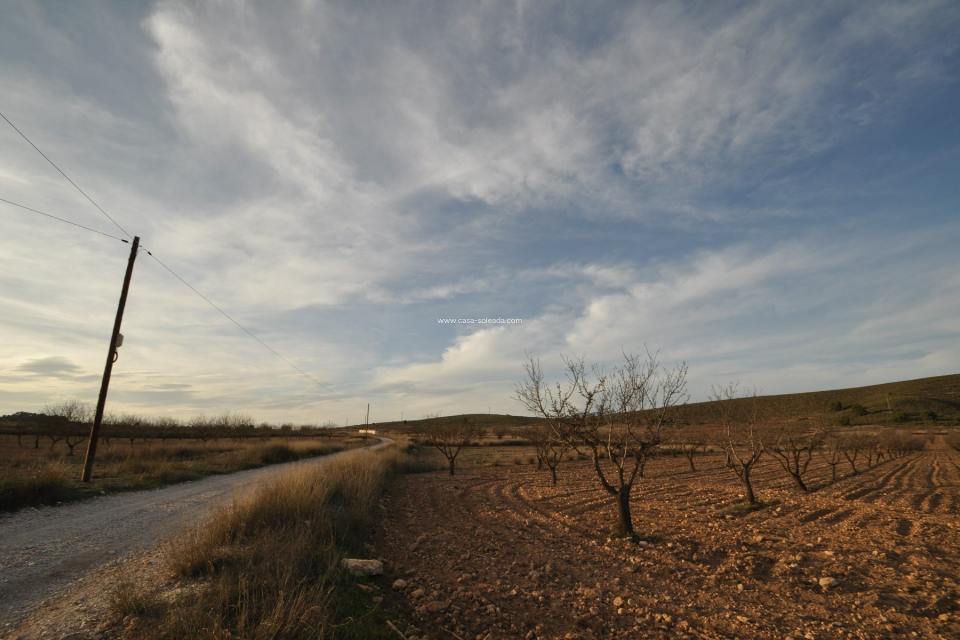 Revente - Land - Abanilla - Inland