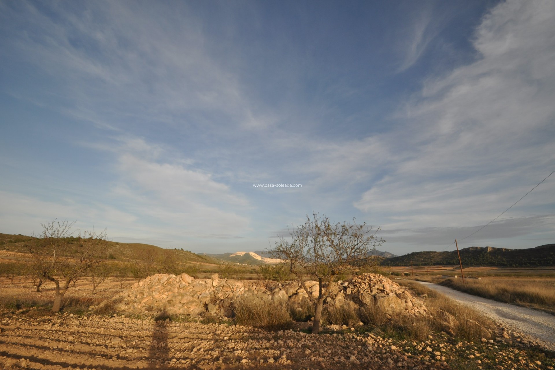 Revente - Land - Abanilla - Inland