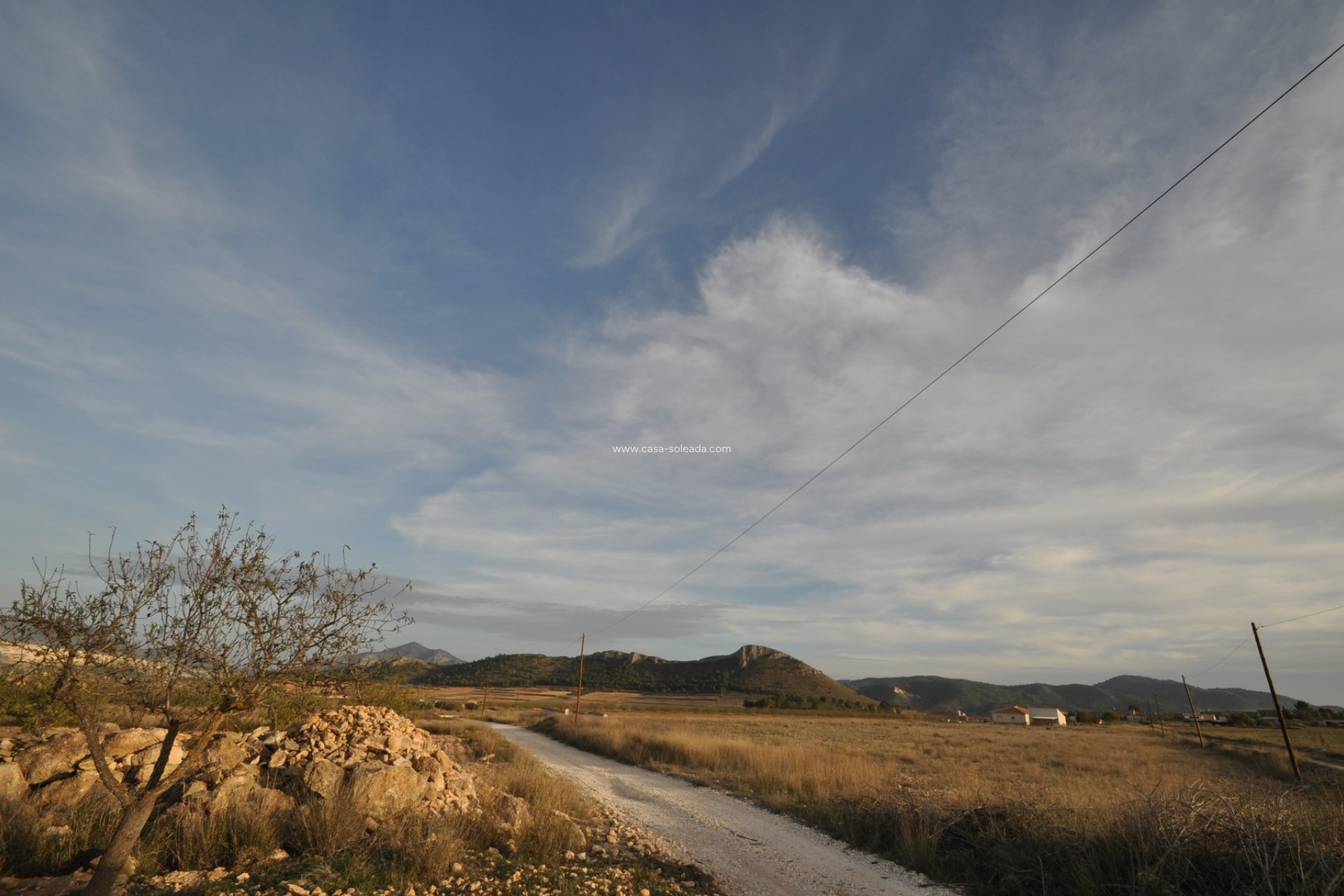 Revente - Land - Abanilla - Inland