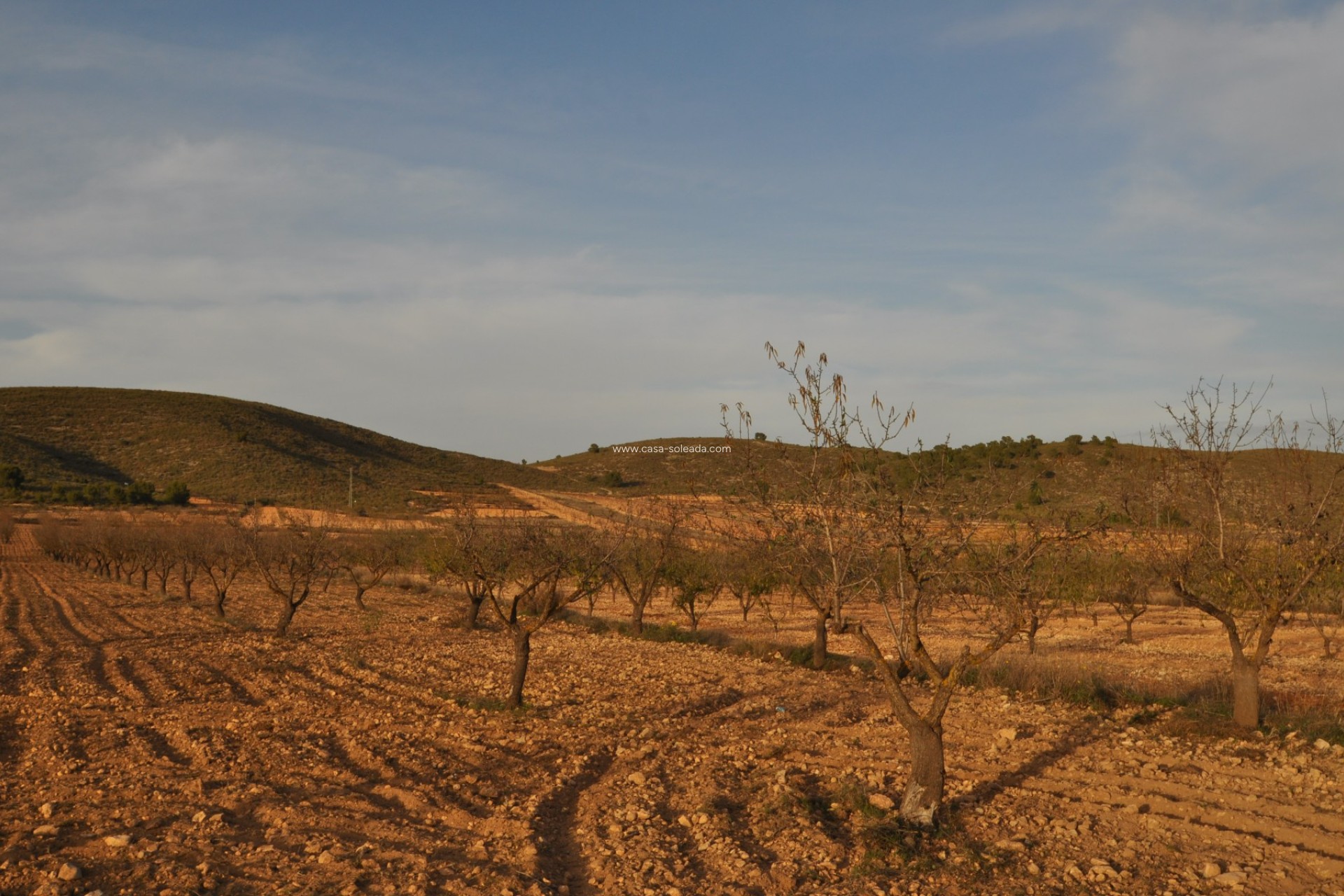 Revente - Land - Abanilla - Inland
