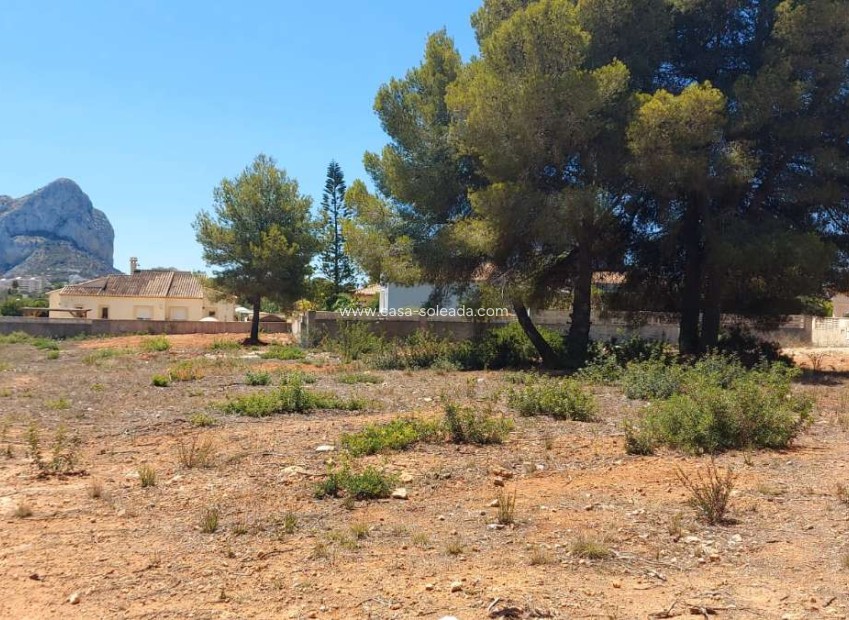 Revente - Land - Calpe - Costa Blanca