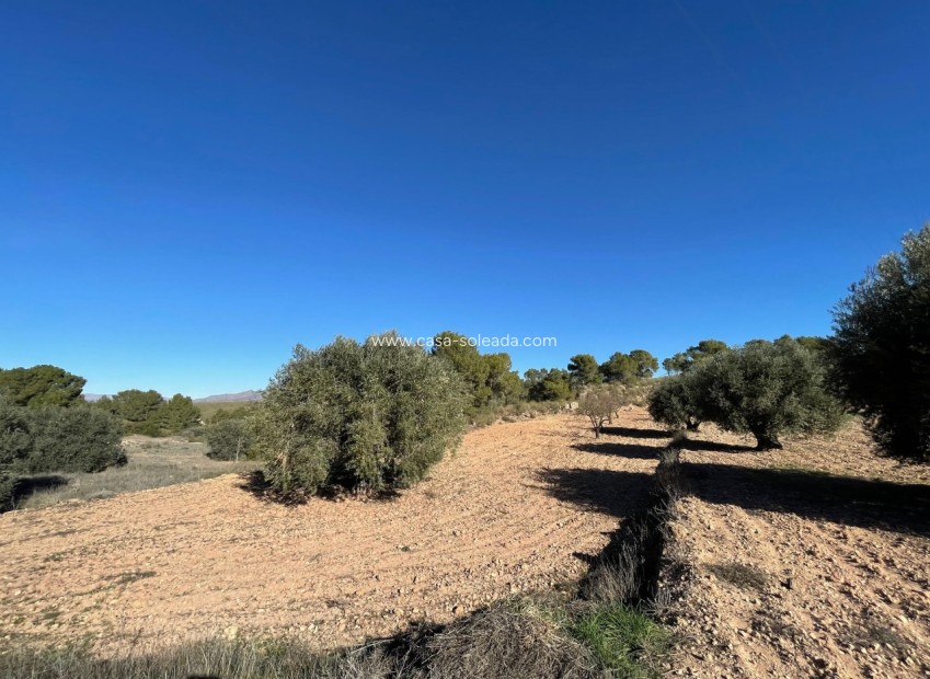 Revente - Land - La Zarza - Inland