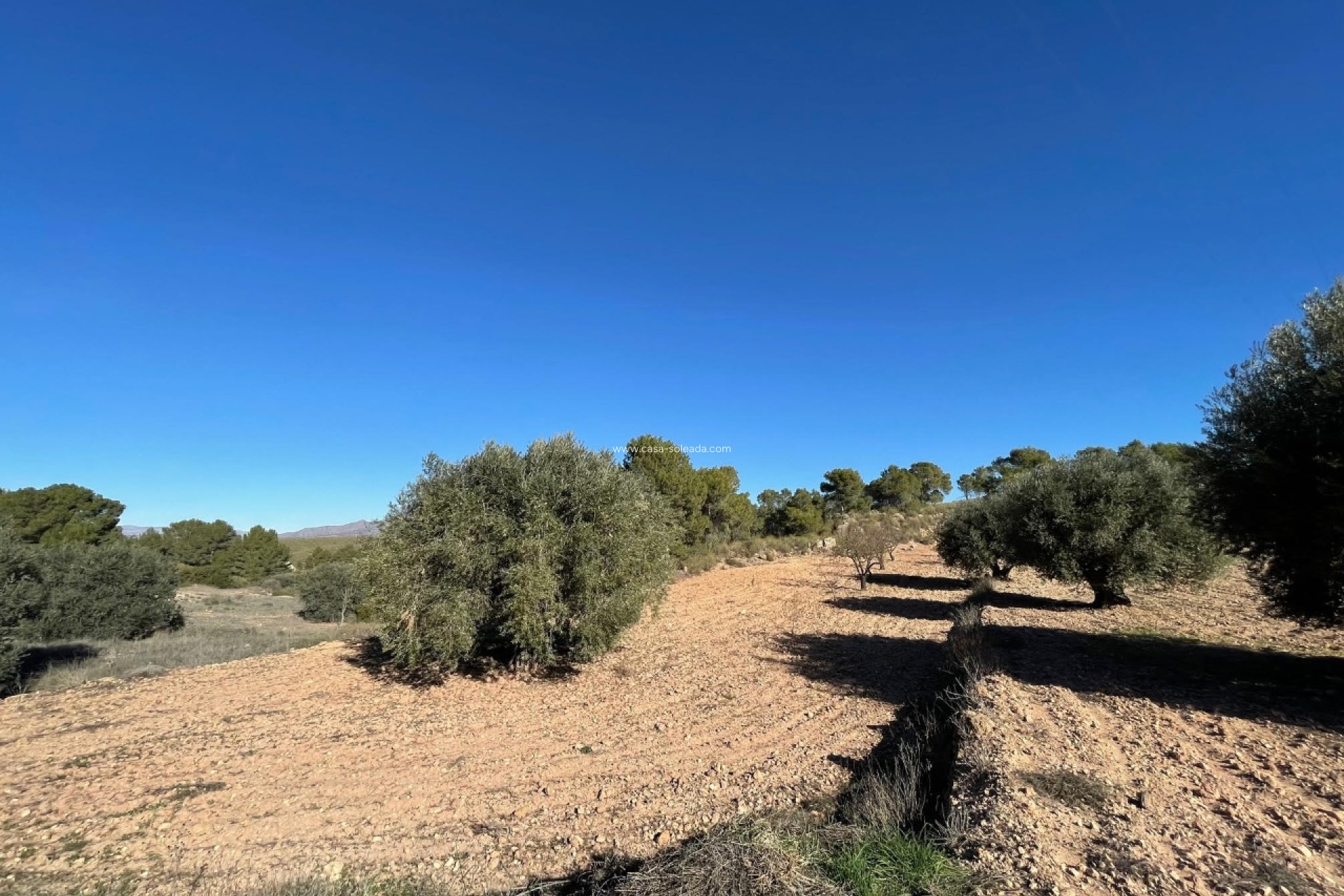 Revente - Land - La Zarza - Inland