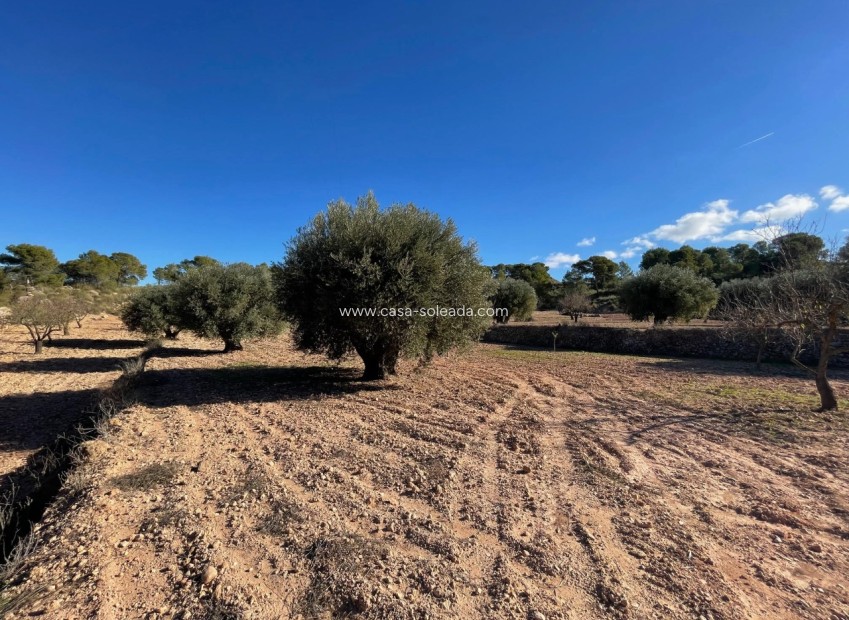Revente - Land - La Zarza - Inland