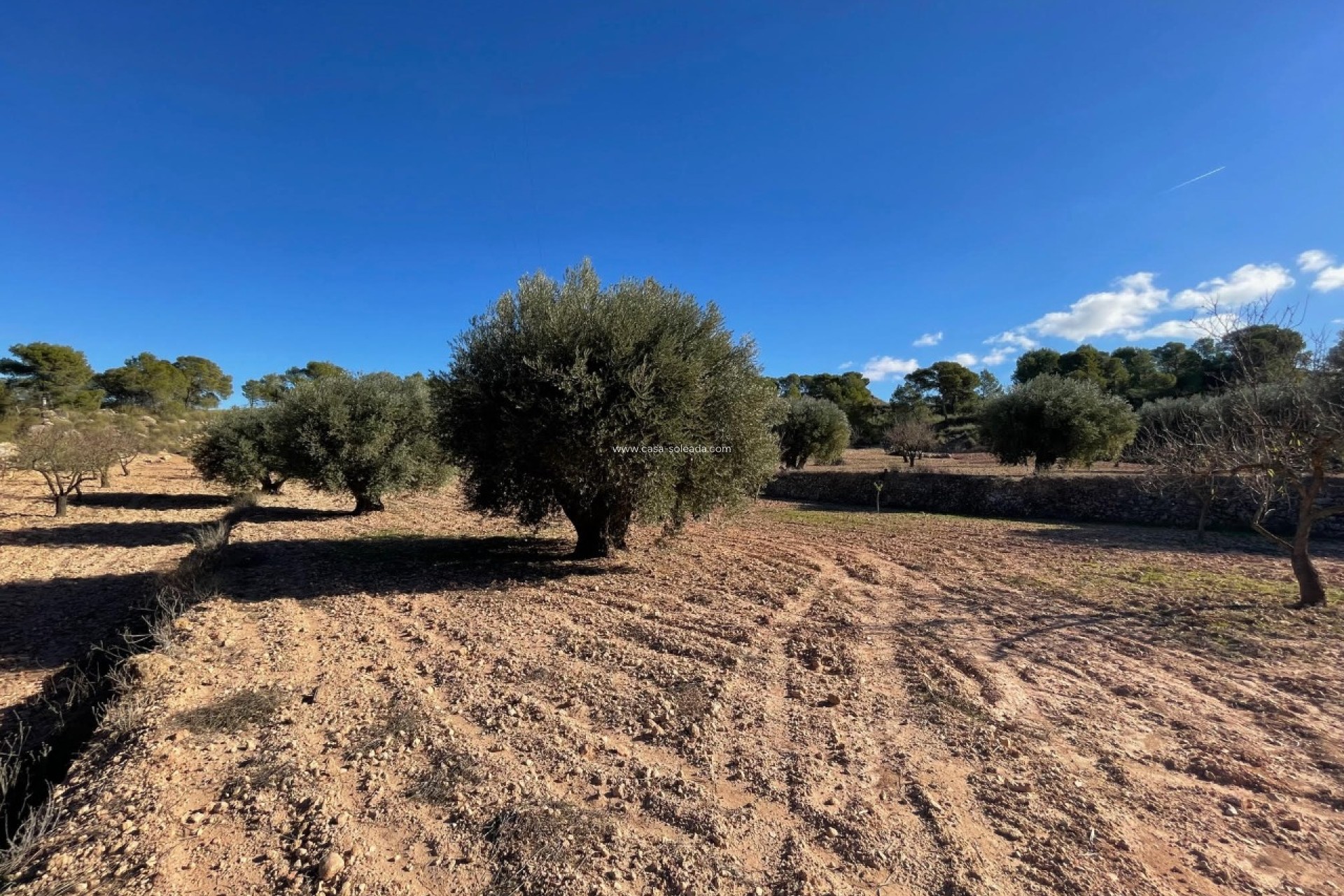 Revente - Land - La Zarza - Inland