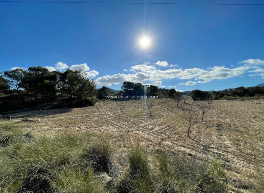 Revente - Land - La Zarza - Inland