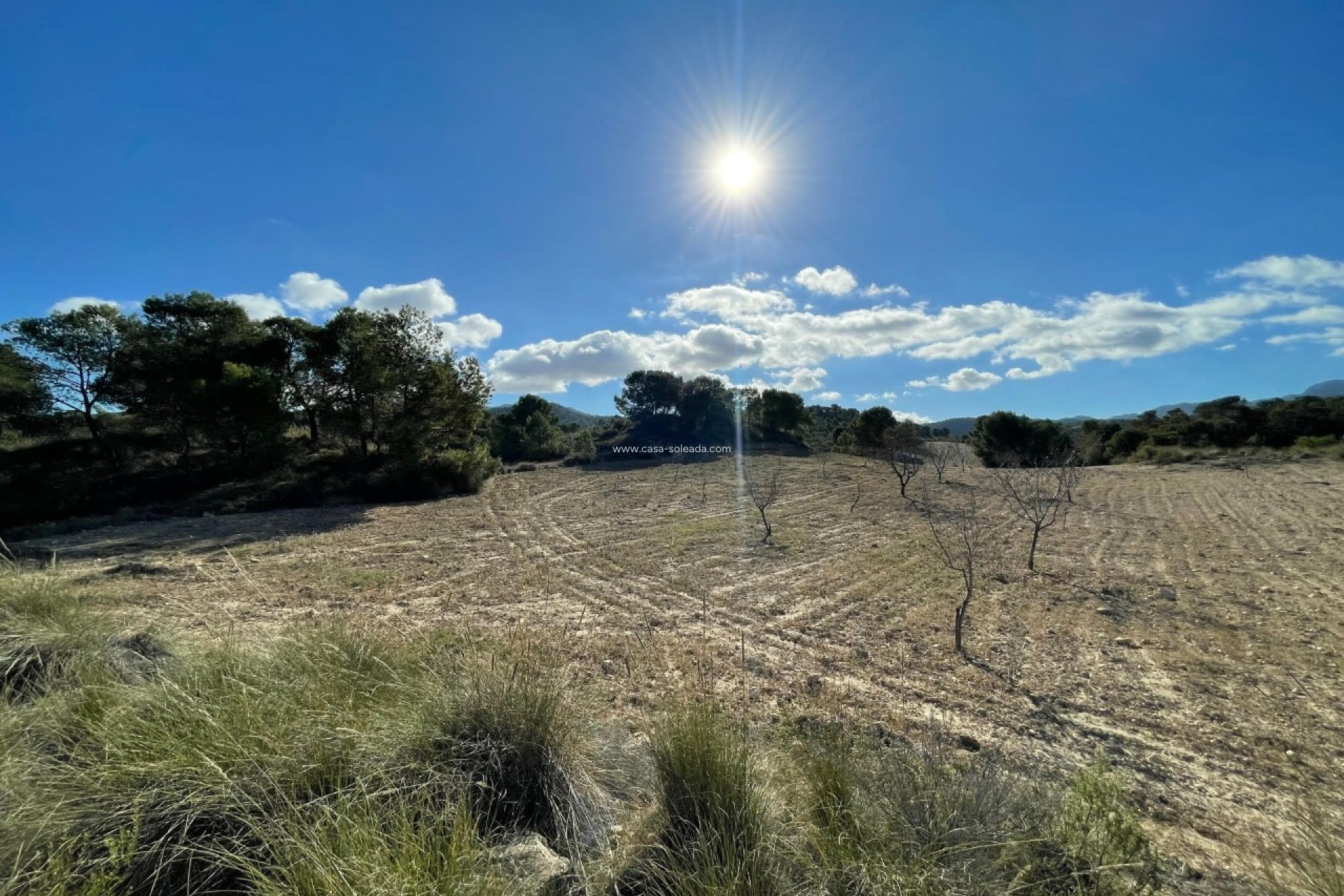Revente - Land - La Zarza - Inland