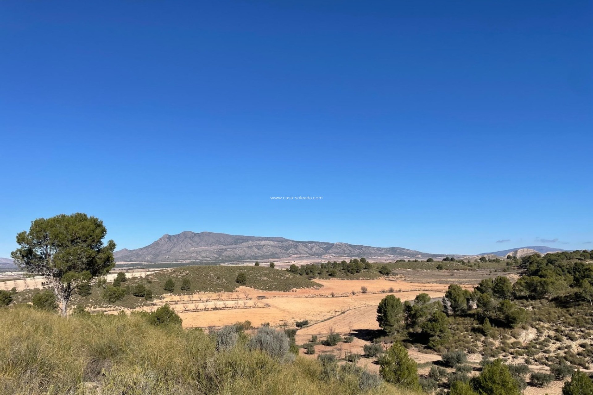 Revente - Land - La Zarza - Inland