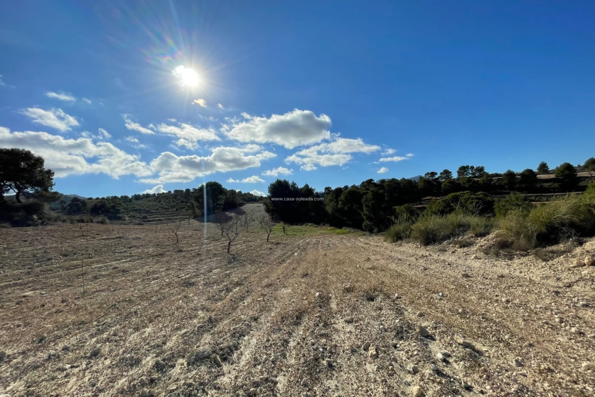 Revente - Land - La Zarza - Inland