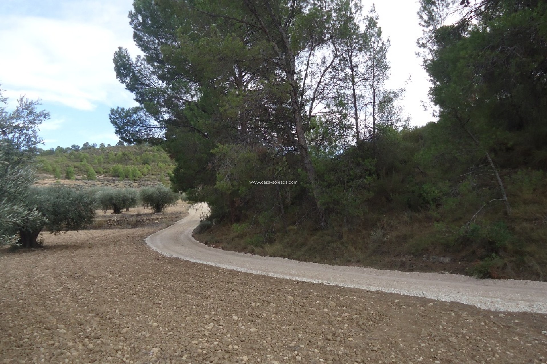Revente - Land - La Zarza - Inland