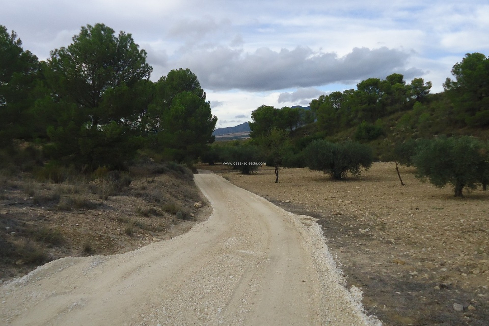 Revente - Land - La Zarza - Inland