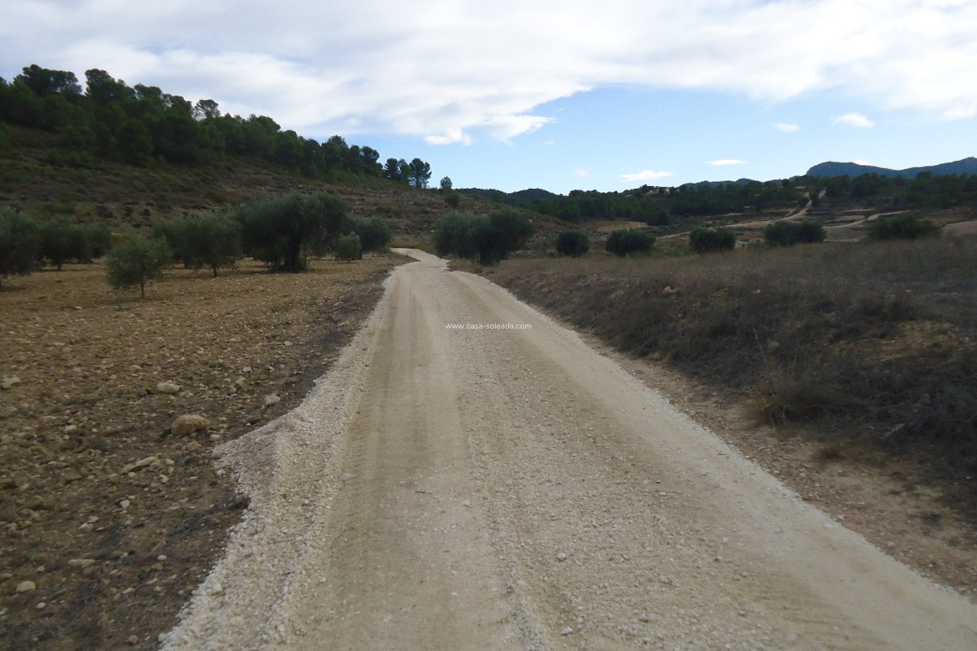 Revente - Land - La Zarza - Inland