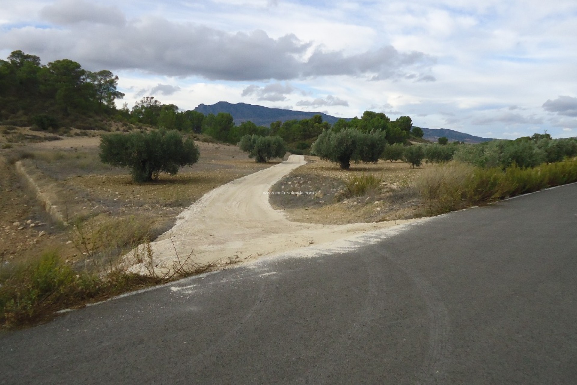 Revente - Land - La Zarza - Inland