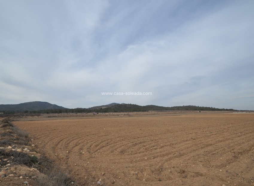 Revente - Land - Monóvar - Inland