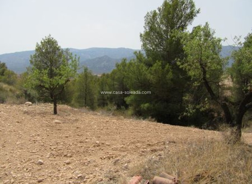 Revente - Land - Murcia