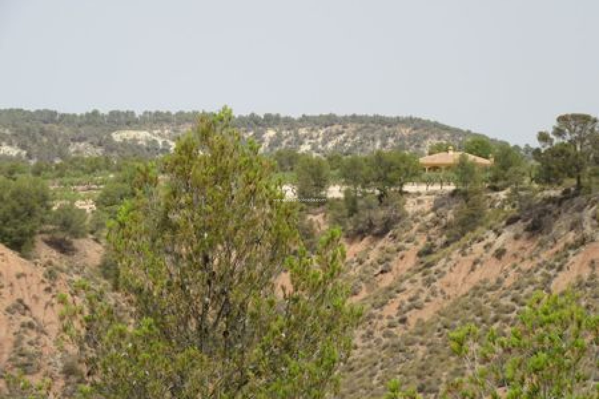 Revente - Land - Murcia