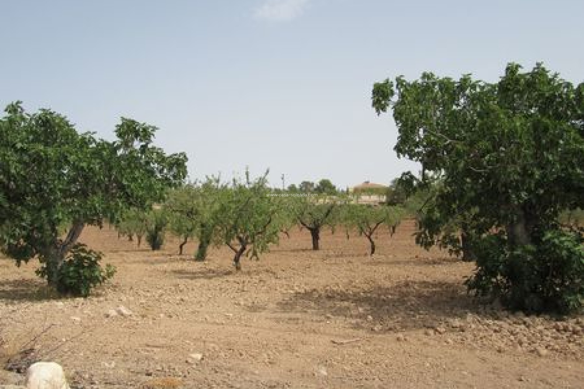 Revente - Land - Murcia