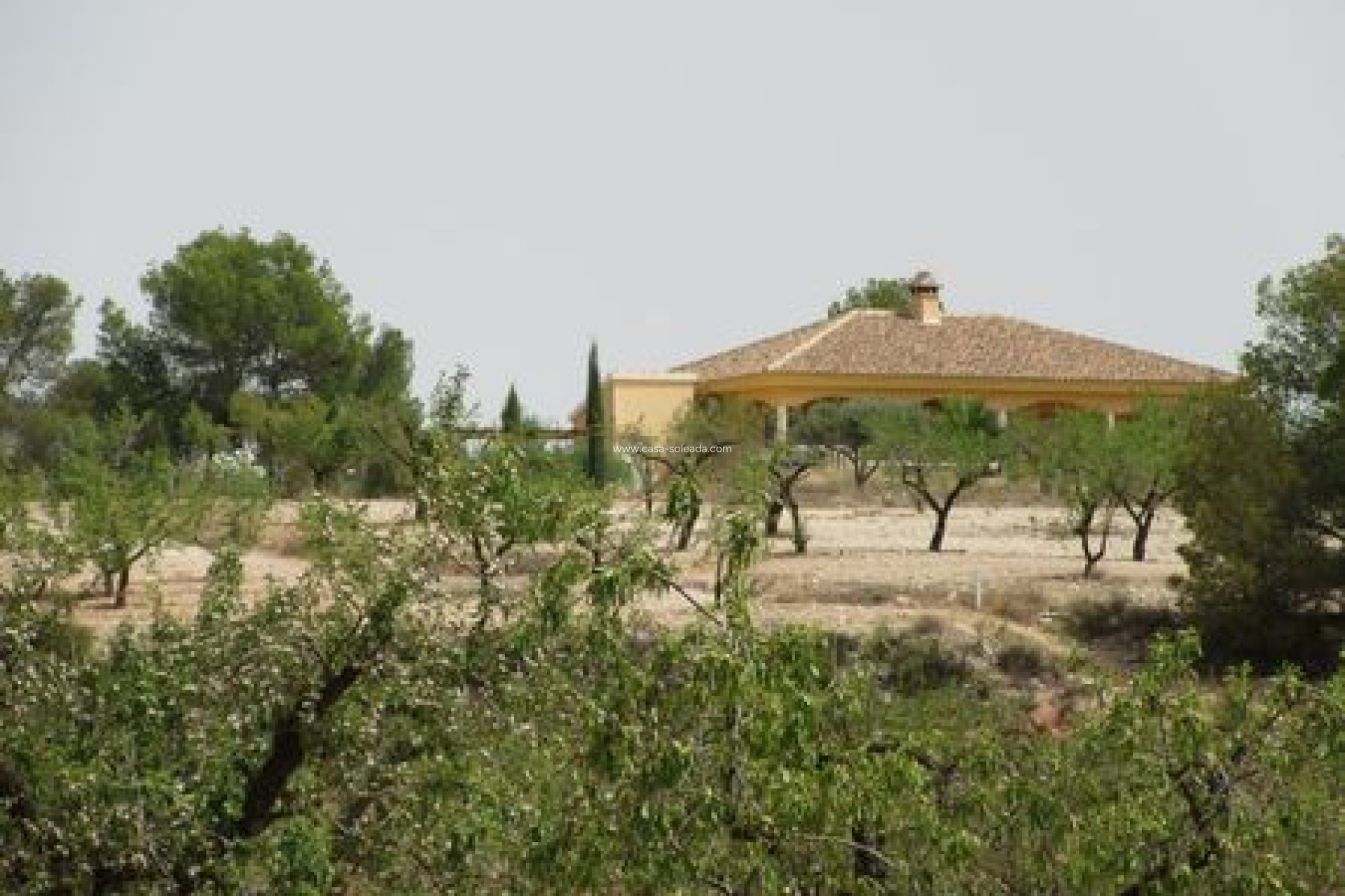 Revente - Land - Murcia