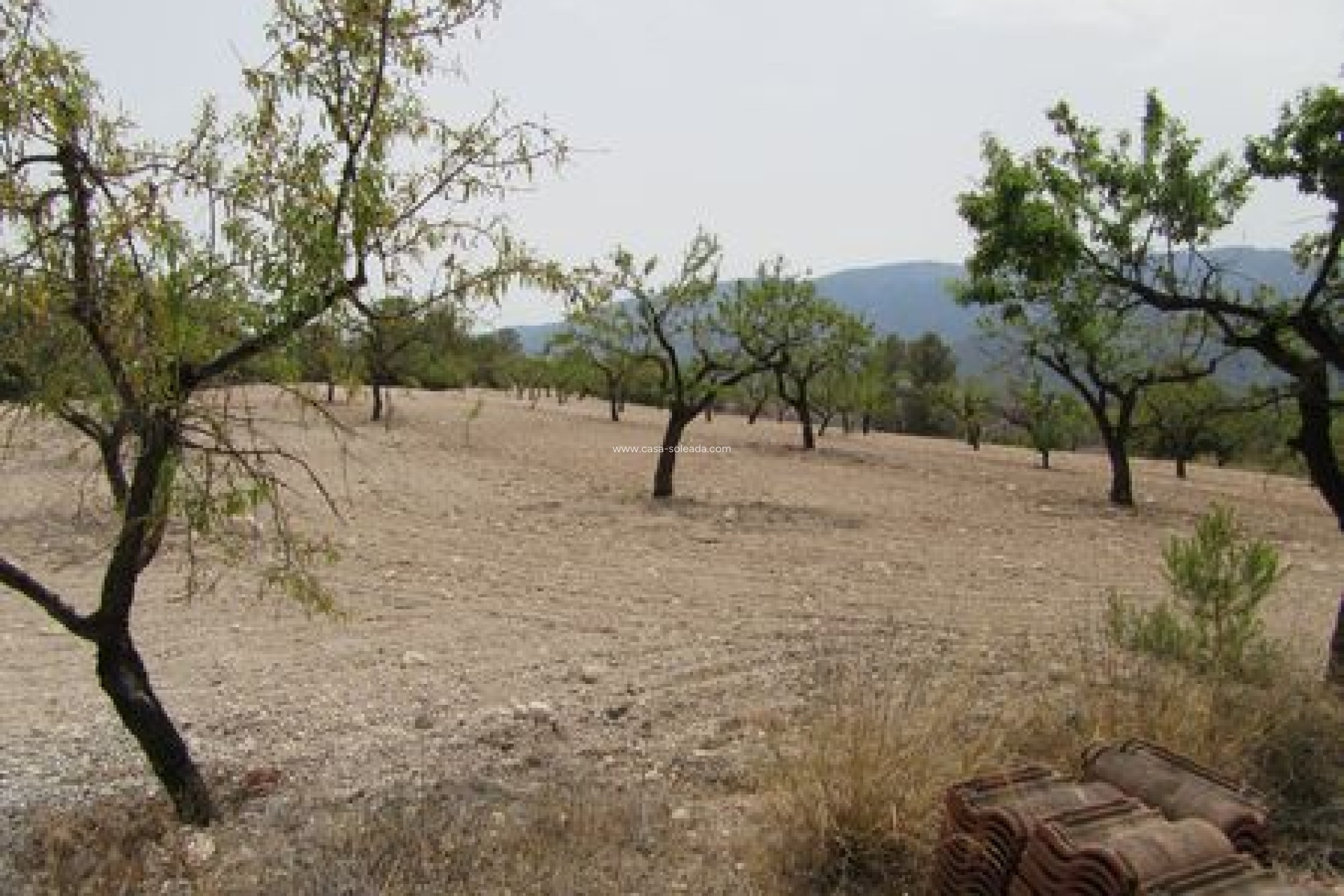 Revente - Land - Murcia