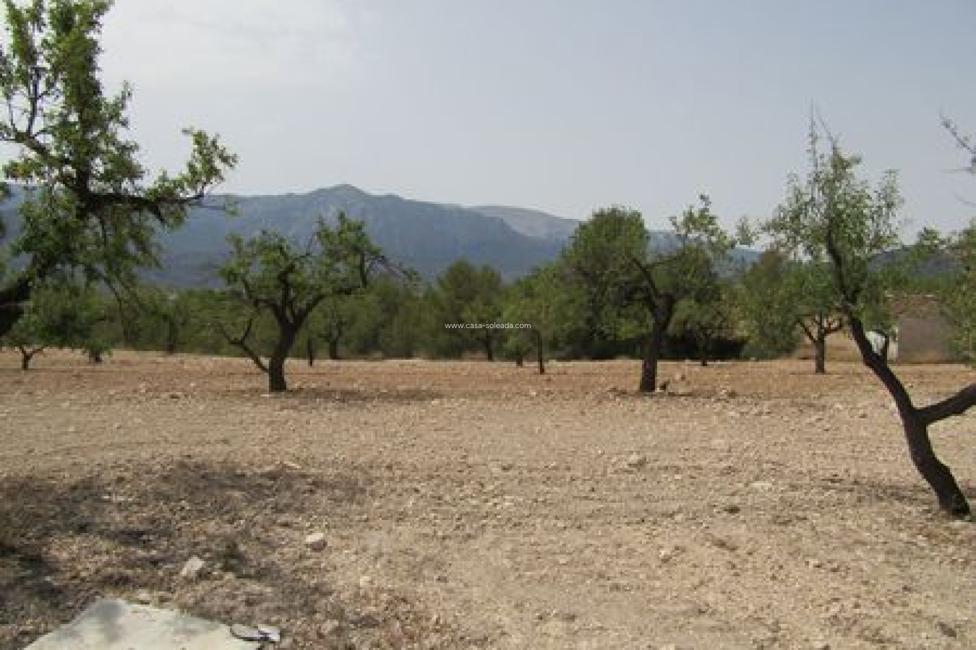 Revente - Land - Murcia