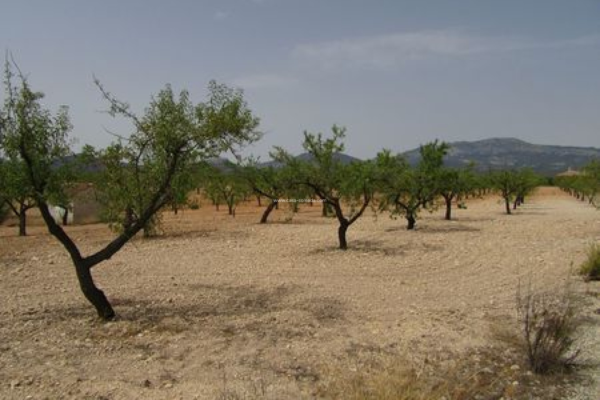 Revente - Land - Murcia