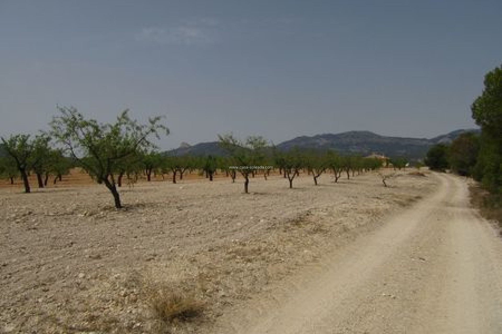 Revente - Land - Murcia