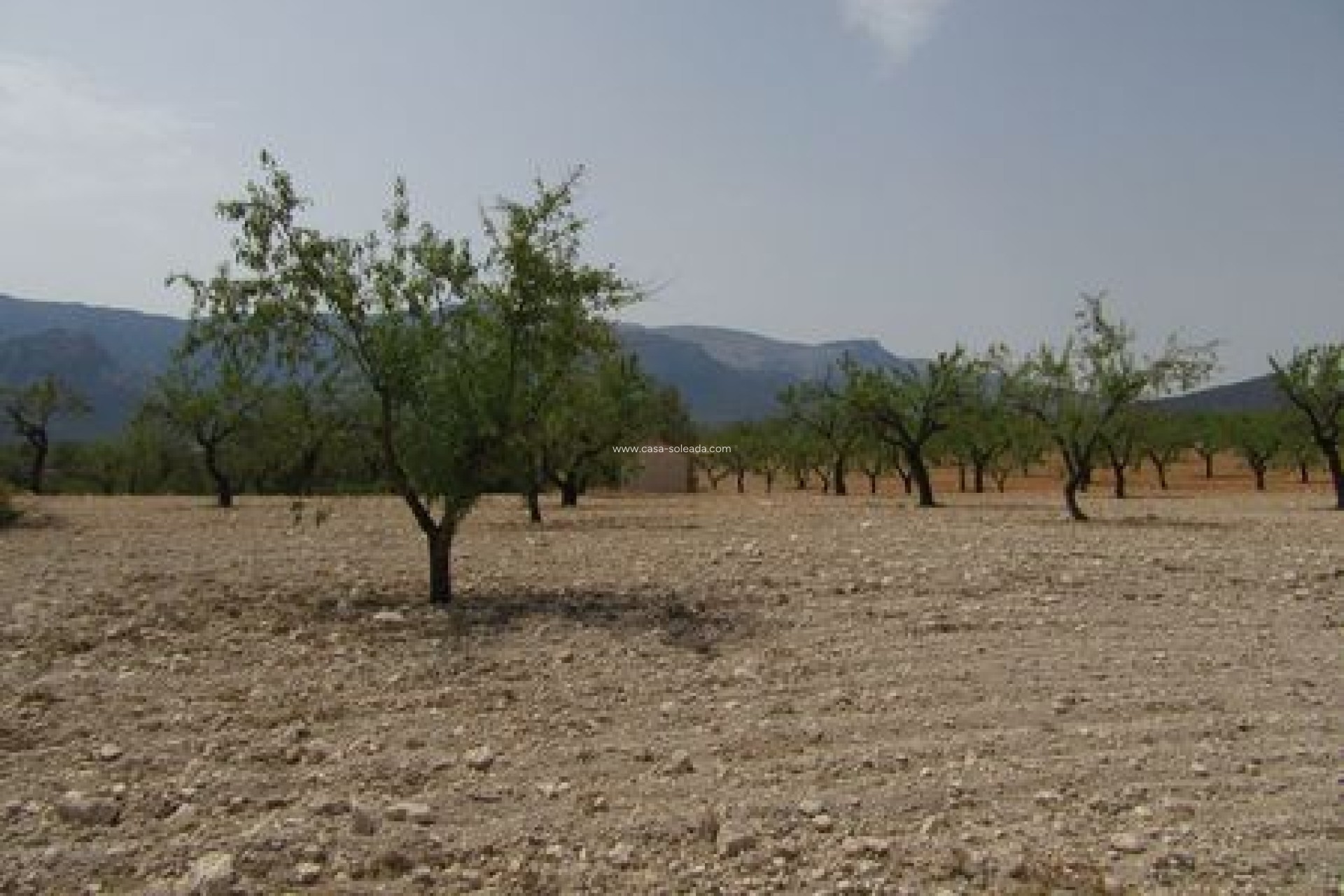 Revente - Land - Murcia
