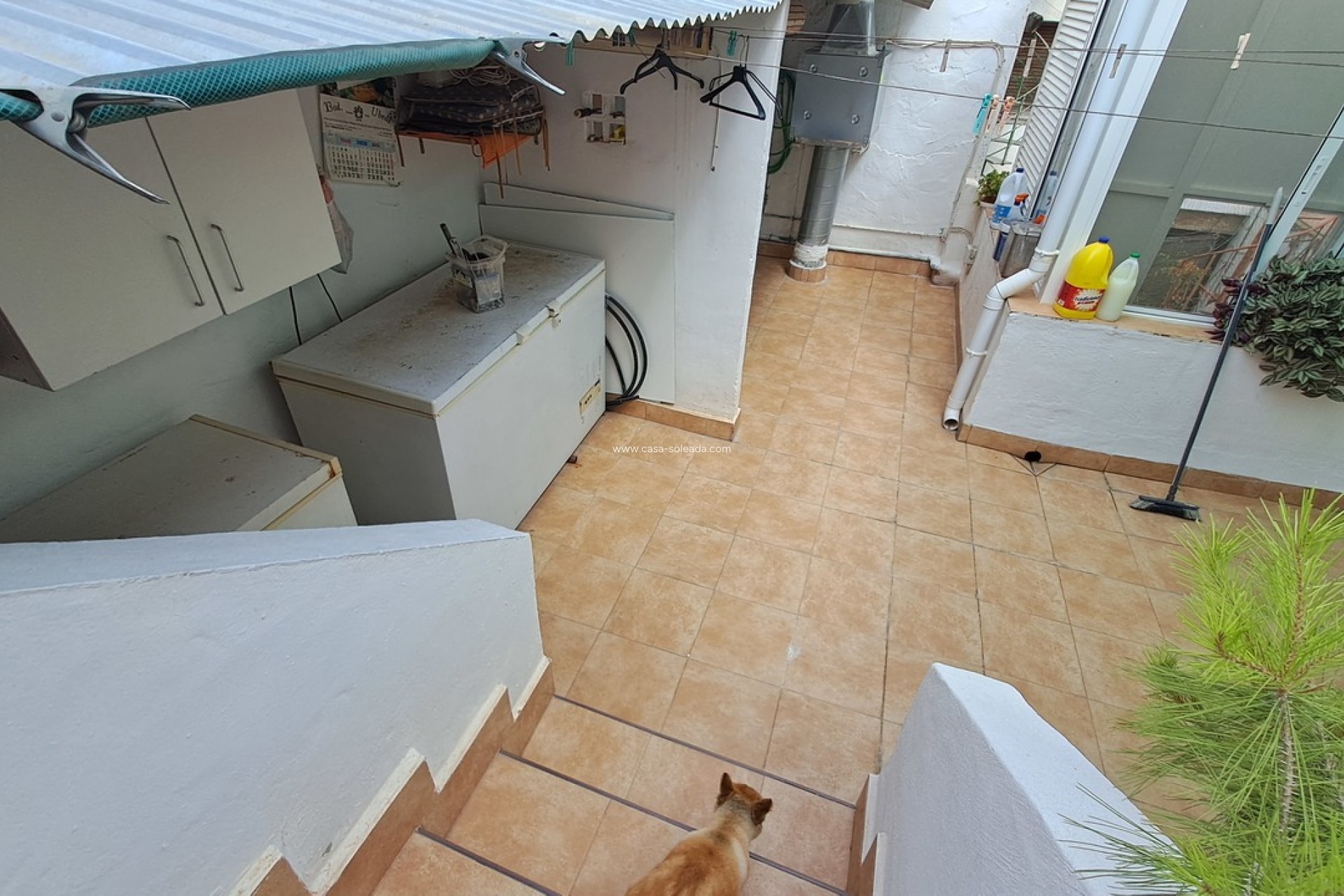 Revente - Maison de ville - Benijofar