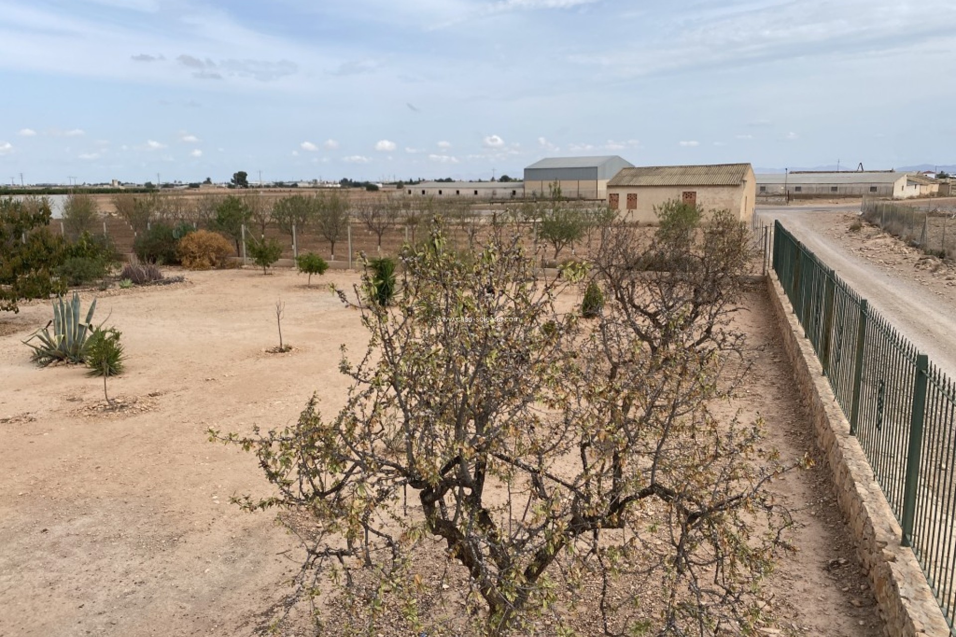 Revente - Maison de ville - Fuente Alamo - Inland