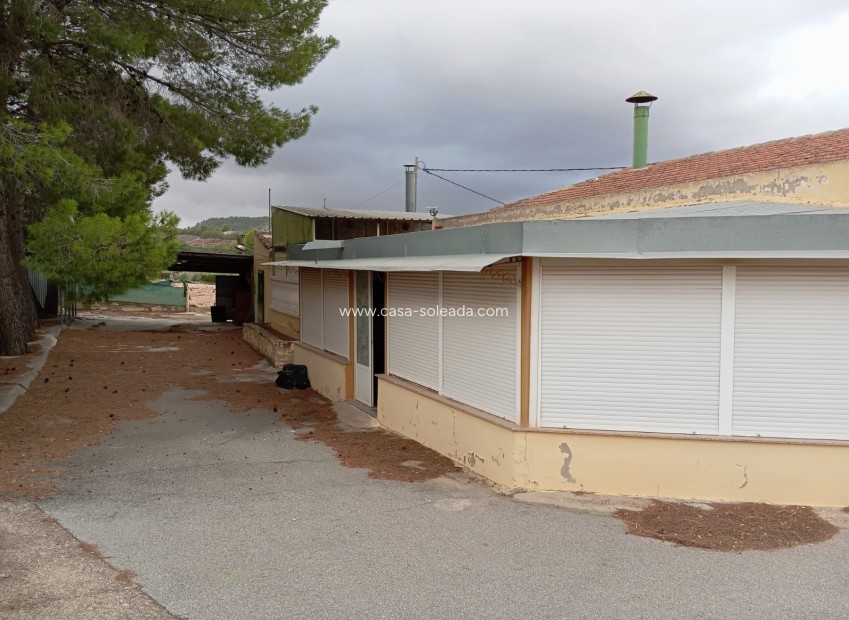 Revente - Maison de ville - Yecla - Inland