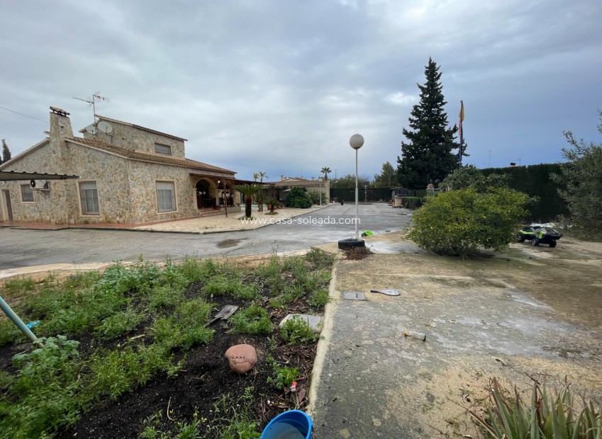 Revente - Villa - Elche - Costa Blanca