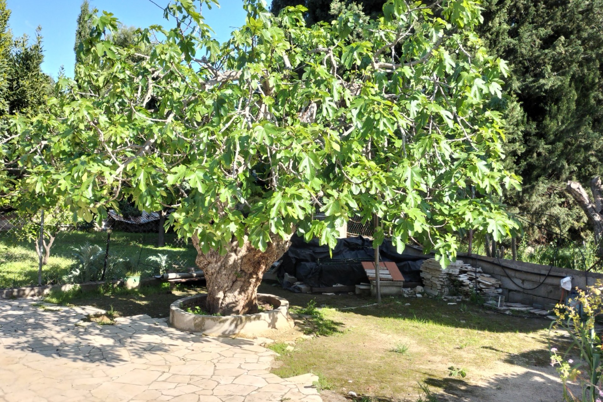 Revente - Villa - Elda - Inland