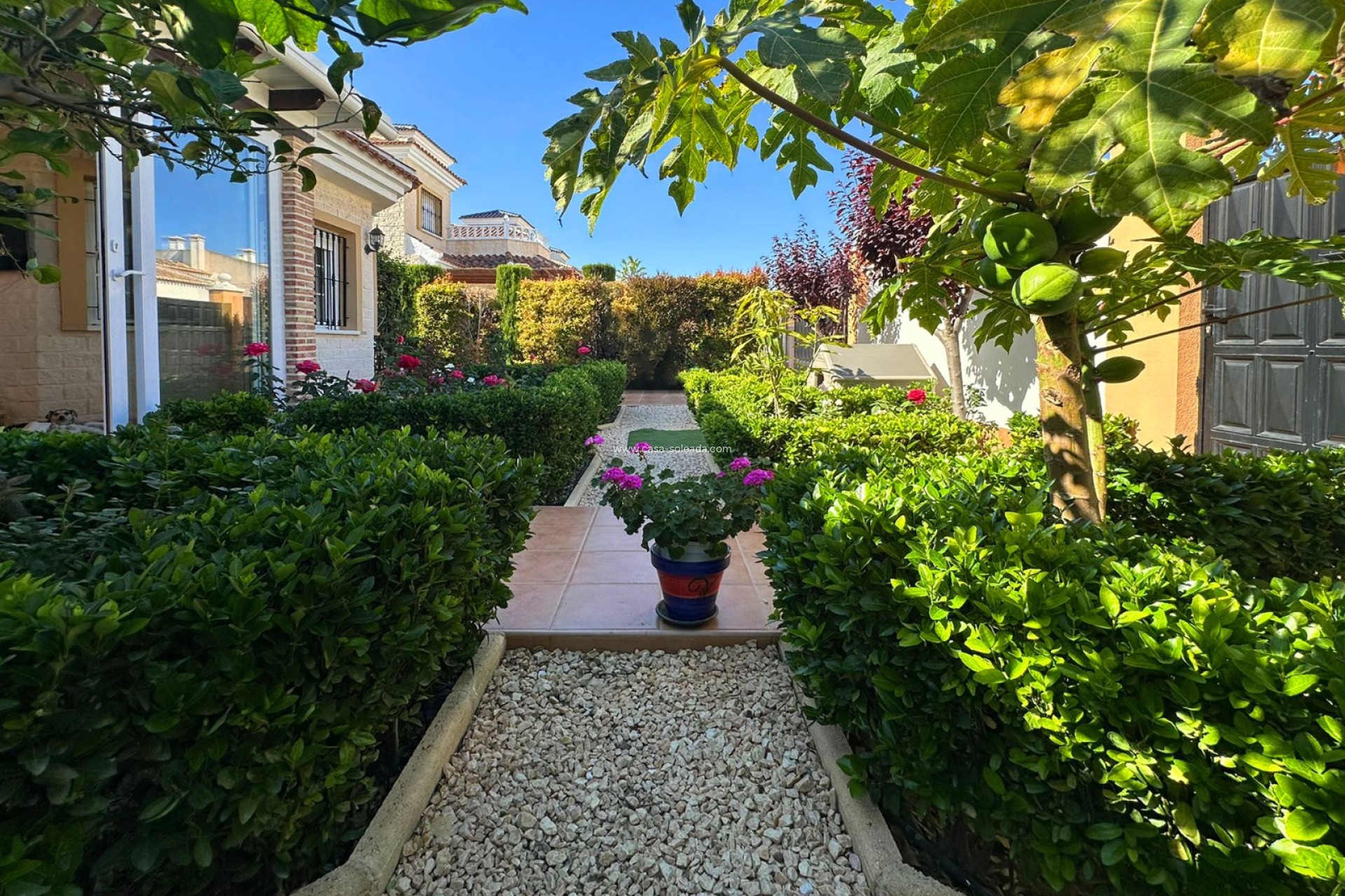 Revente - Villa - Guardamar del Segura - Costa Blanca
