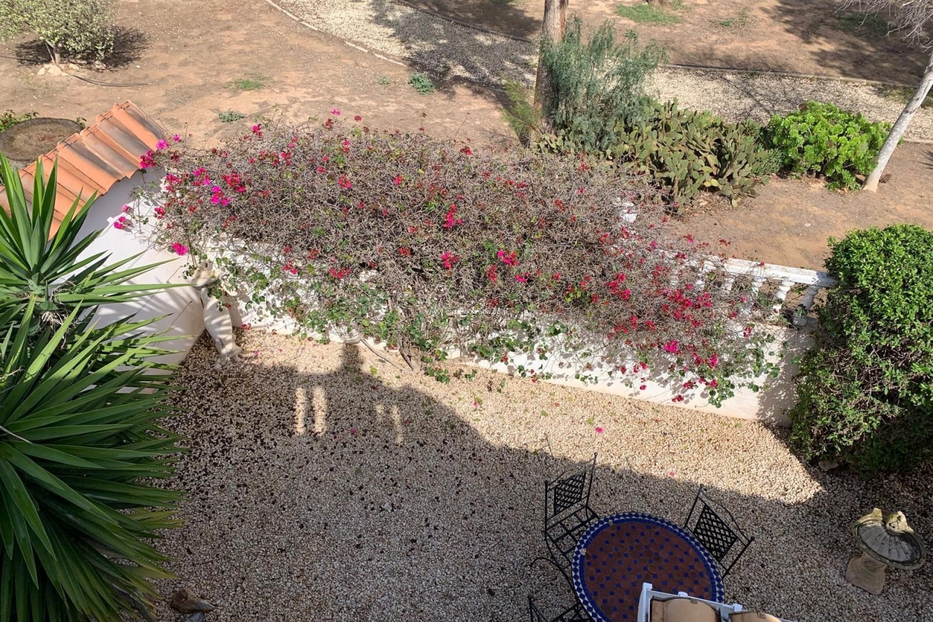 Revente - Villa - Guardamar del Segura - El Raso