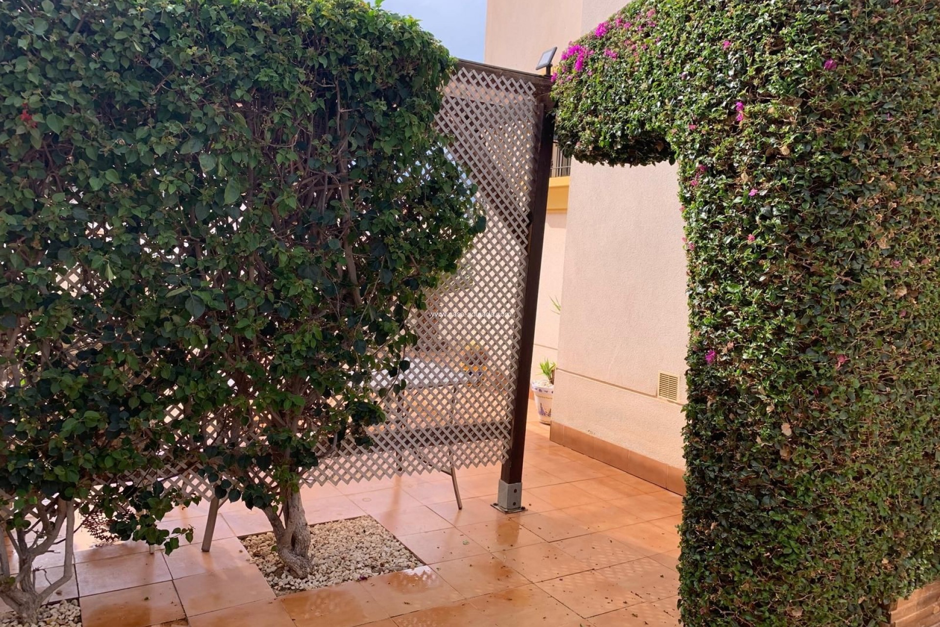 Revente - Villa - Guardamar del Segura - El Raso