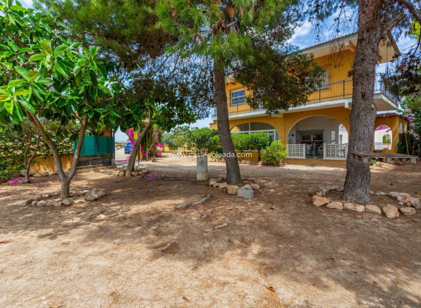 Revente - Villa - Los Montesinos - Costa Blanca