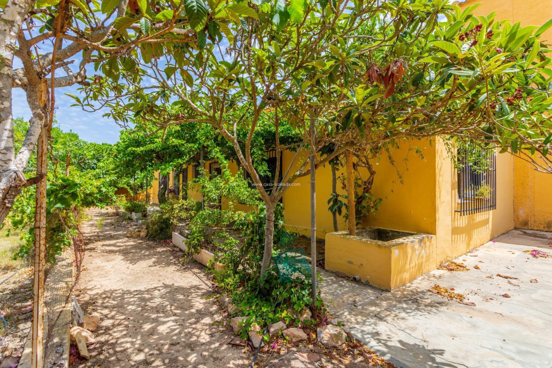 Revente - Villa - Los Montesinos - Costa Blanca