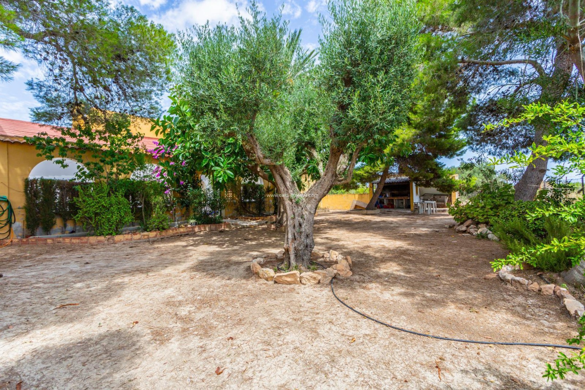 Revente - Villa - Los Montesinos - Costa Blanca