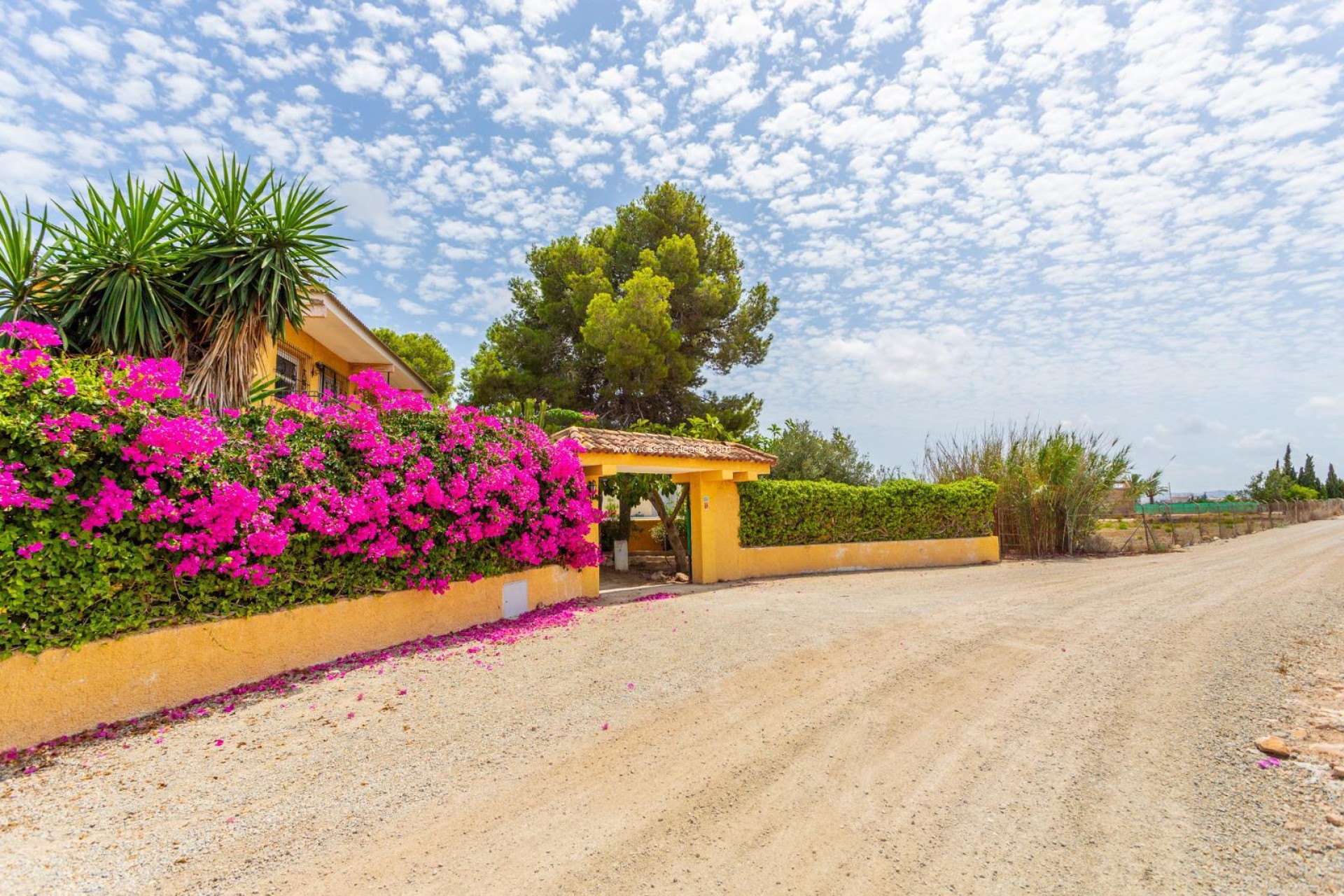 Revente - Villa - Los Montesinos - Costa Blanca