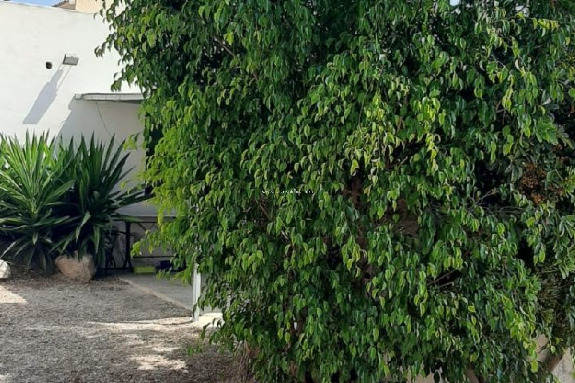Revente - Villa - Macisvenda - Inland