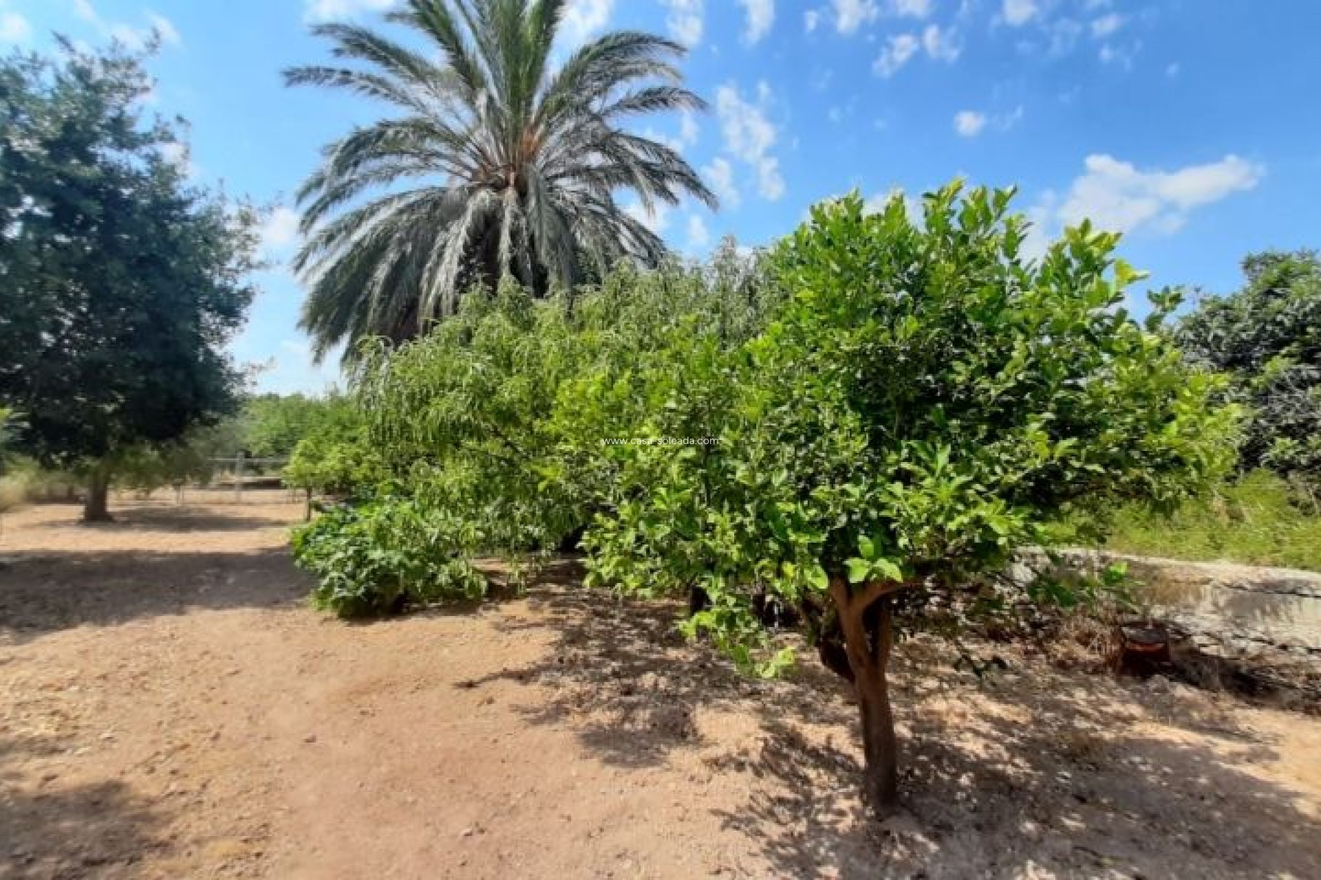 Revente - Villa - Macisvenda - Inland