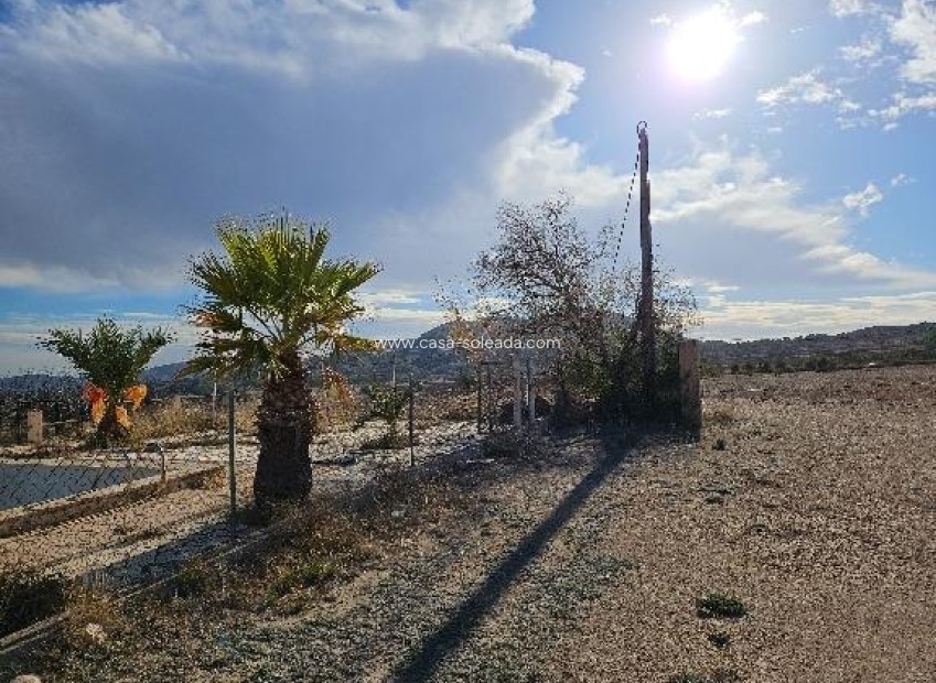 Revente - Villa - Monóvar - 03640