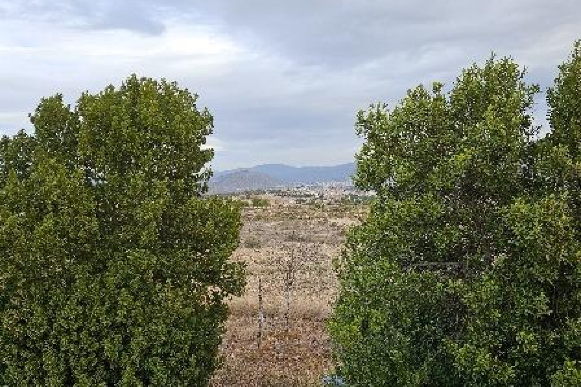 Revente - Villa - Monóvar - 03640