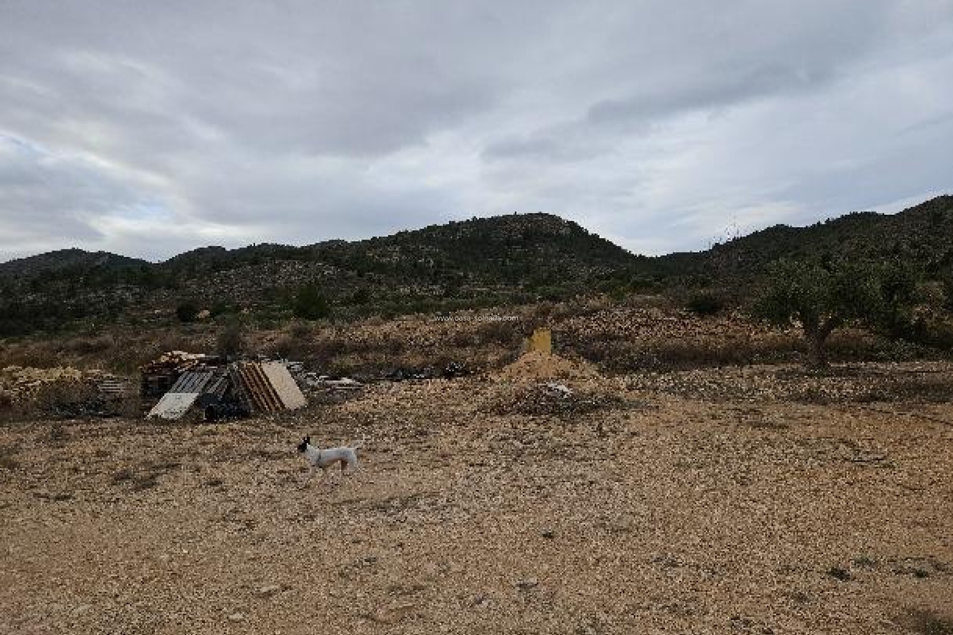 Revente - Villa - Monóvar - 03640